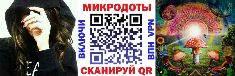 Галлюциногенные грибы Psilocybine cubensis  где можно купить   Новохопёрск 