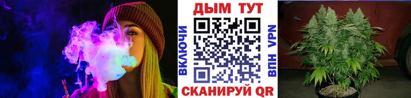 Шишки марихуана планчик Новохопёрск